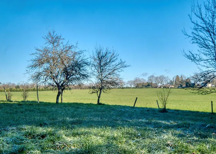 Confortable Avec Jardin Apartment